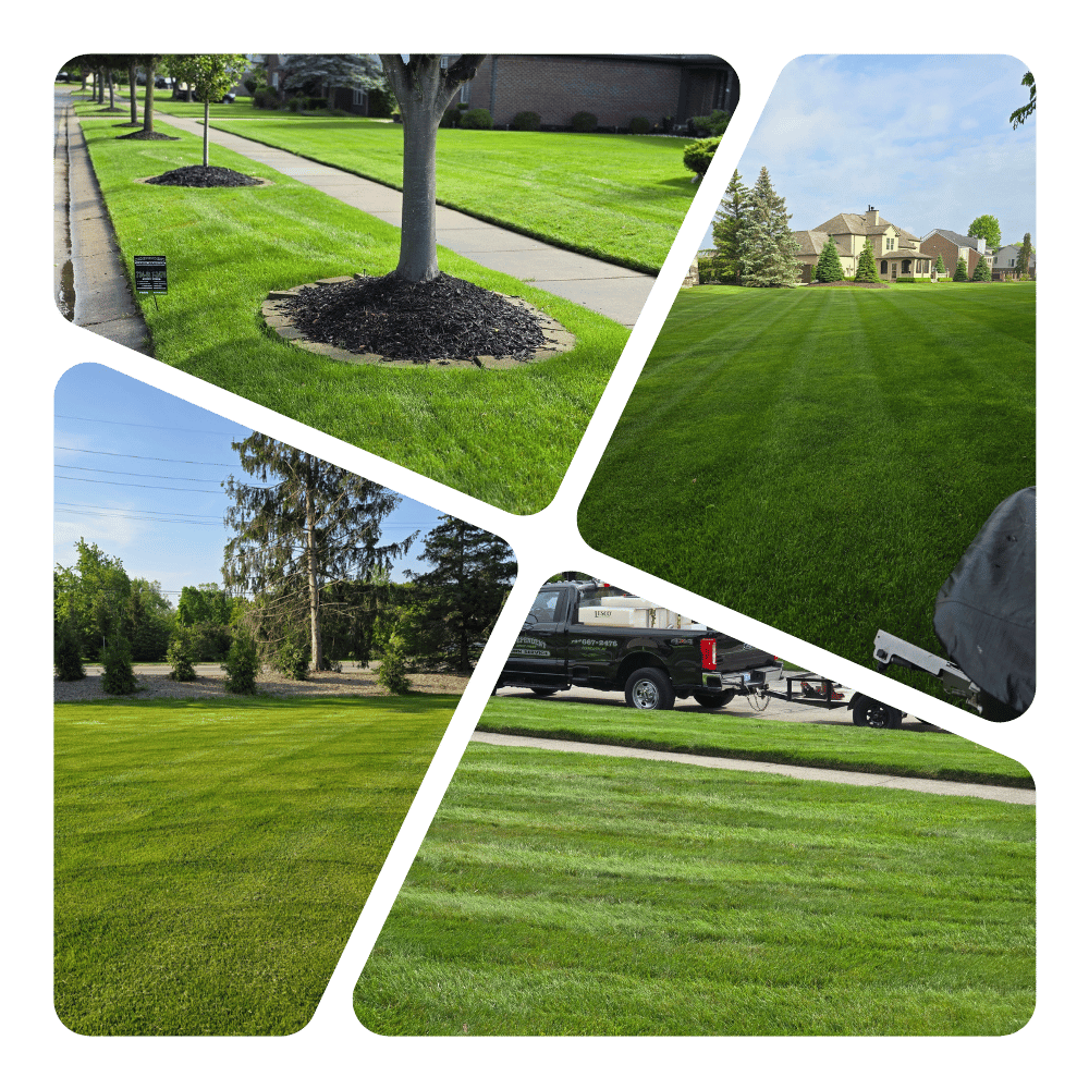 Independent Lawn Services(1)