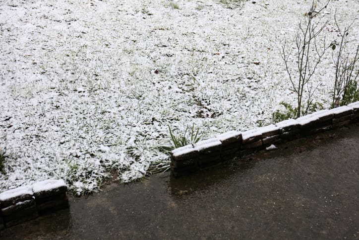 Winter Lawn Care